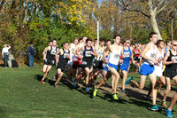 ILXC_15_30018