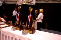 IHSA Badmintion 07