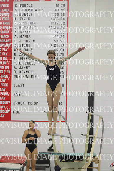 WISWG22_DIVE_2024