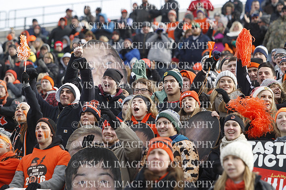 ILFB_15_50003