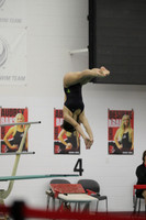 WISWG22_DIVE_2003