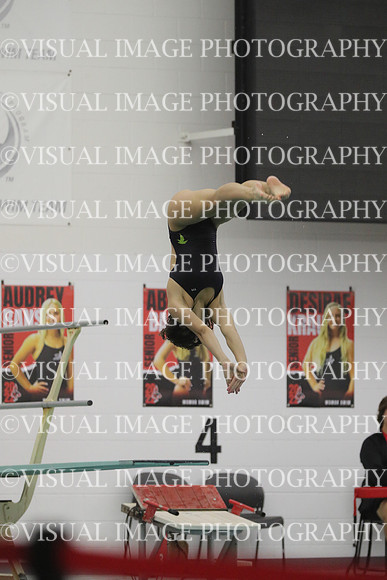 WISWG22_DIVE_2003