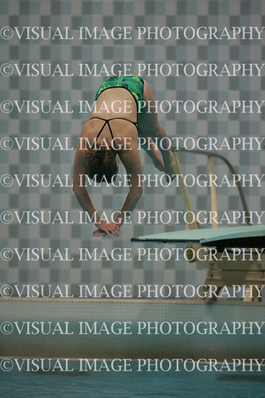 wiswg09_dive_2020