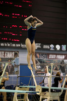 ILSWG15_DIVE_F007