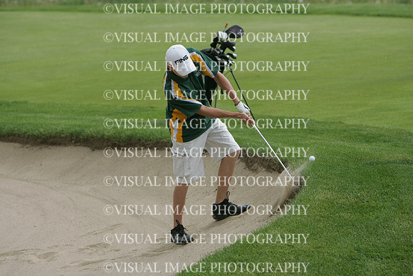 WIGF_13_3009
