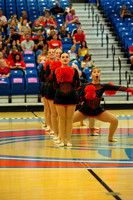 BMC26_OPENPOM_04008