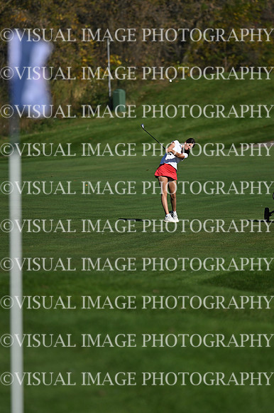 WIGFG_26_T106010