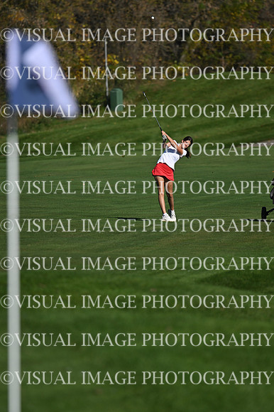WIGFG_26_T106011