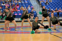 BMC26_OPENPOM_12019