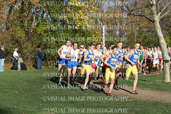 ILXC_15_30008
