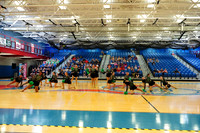BMC26_OPENPOM_12009