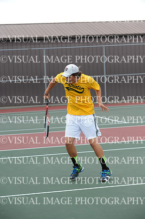 ILTN_13_S2010