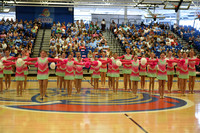 BMC26_OPENPOM_06006