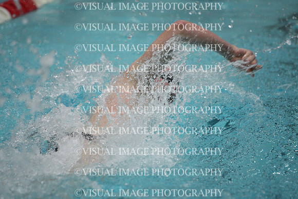 wisw10_1free_2017