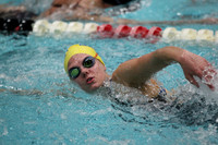 WISWG_15_S1003