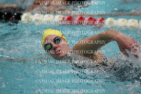 WISWG_15_S1003