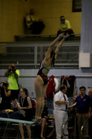 ILSWG15_DIVE_F002