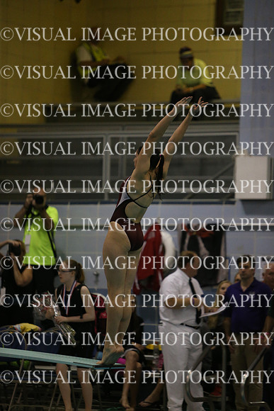 ILSWG15_DIVE_F002