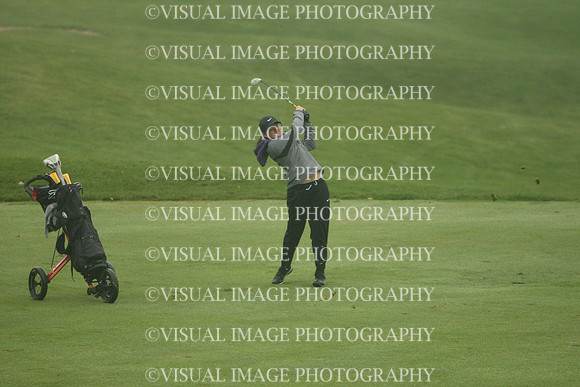 WIGFG_13_IND2003