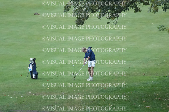 ILGF_26_T208002