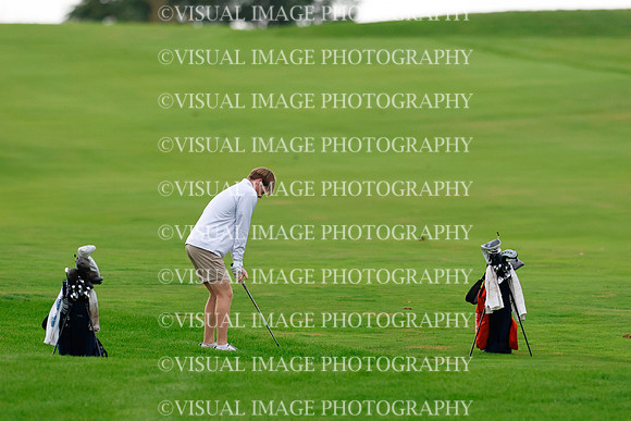 ILGF_26_T311001