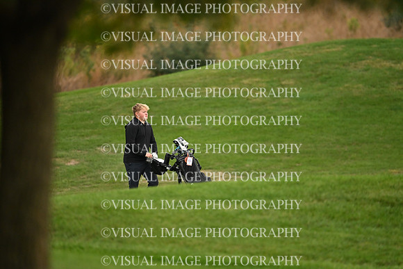 ILGF_26_T108005