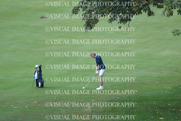 ILGF_26_T208001