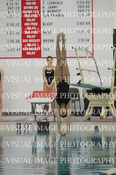 WISWG22_DIVE_2021