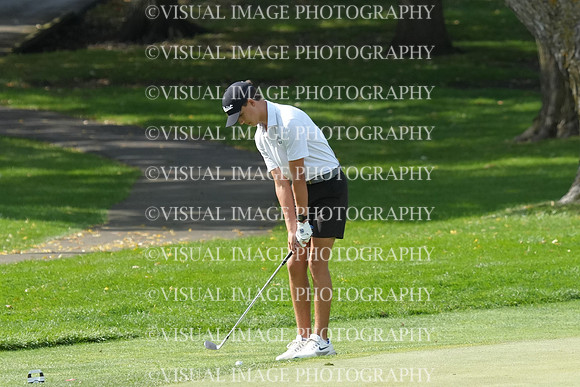 ILGF_26_IND20013