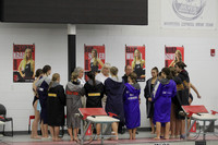 WISWG22_DIVE_2008