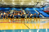 BMC26_OPENPOM_07017