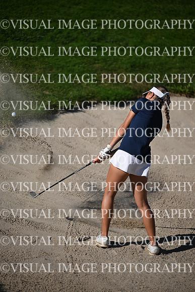 WIGFG_26_T102006