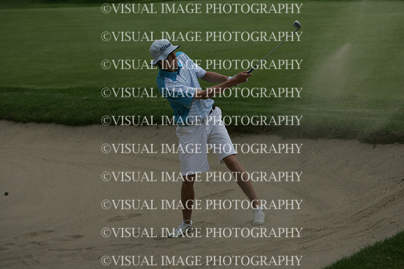 WIGF_13_3035