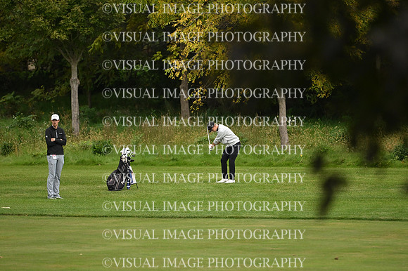 ILGF_26_T106012