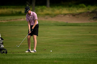 ILGF_26_T112013