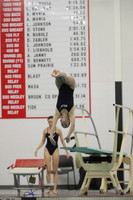 WISWG22_DIVE_2012