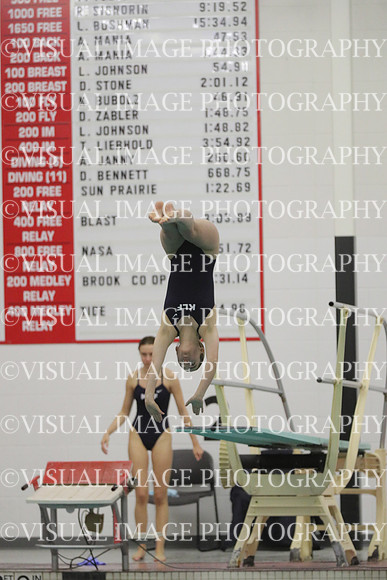 WISWG22_DIVE_2012