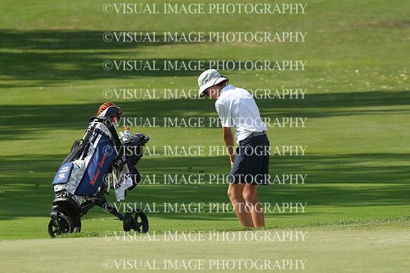 ILGF_26_T206021