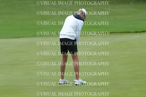 ILGF_26_T207017