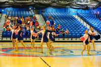 BMC26_OPENPOM_01011