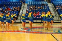 BMC26_OPENPOM_14014