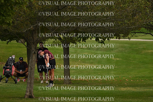 ILGF_26_IND10005