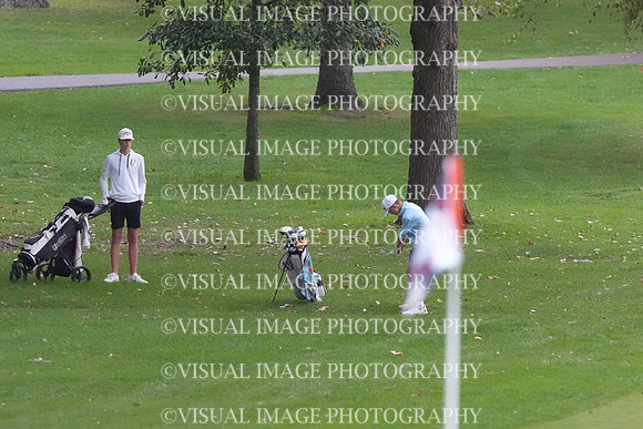 ILGF_26_T202001