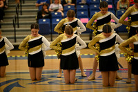 BMC26_OPENPOM_03010