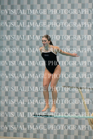 WISWG_15_D1035