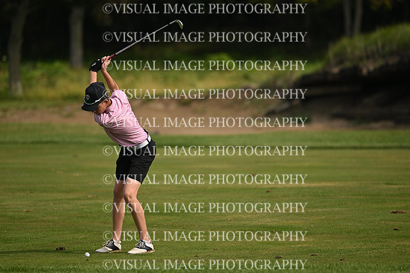 ILGF_26_T112018