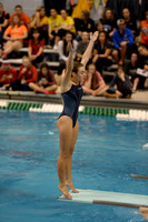 ILSWG15_DIVE_F019