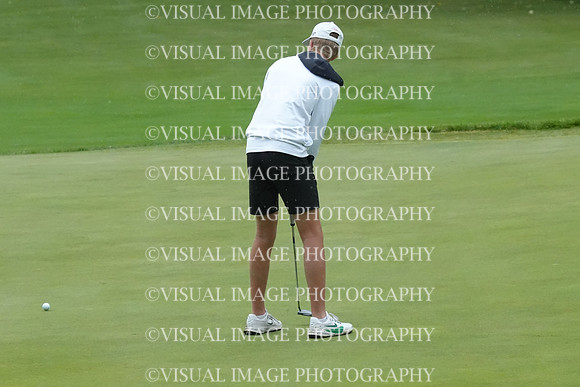 ILGF_26_T207022