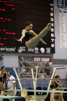 ILSWG15_DIVE_F013