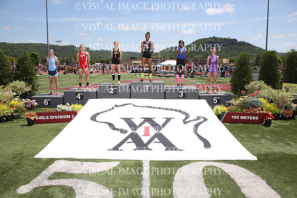 WITKG15_100M_A201